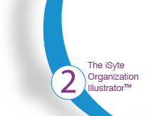 Step 2: The iSyte Orgainzation Illustrator™