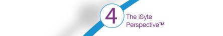 Step 4: The iSyte Perspective™