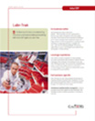 Labr-Trak datasheet